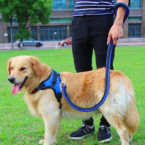 Comfort Dog Chest Strap Leash for Safe Walks